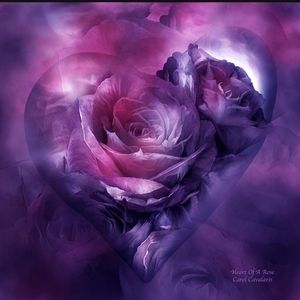 Meet your Posher, Margie